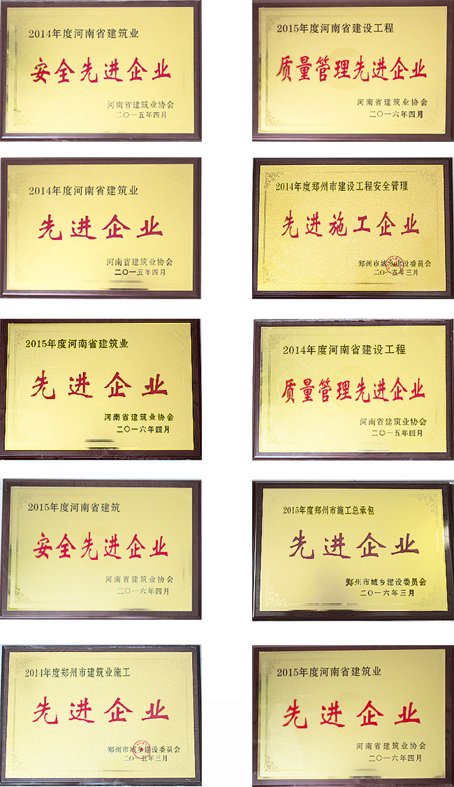 企業(yè)榮譽(yù)(圖1)
